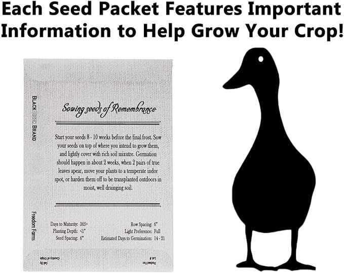 Set of 100 Forget-Me-Not Memorial Seed Packets – Individually Sealed – Non-GMO & Heirloom – Beautiful Tribute to Honor Loved Ones