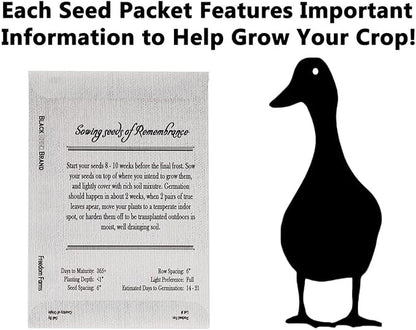 Set of 100 Forget-Me-Not Memorial Seed Packets – Individually Sealed – Non-GMO & Heirloom – Beautiful Tribute to Honor Loved Ones