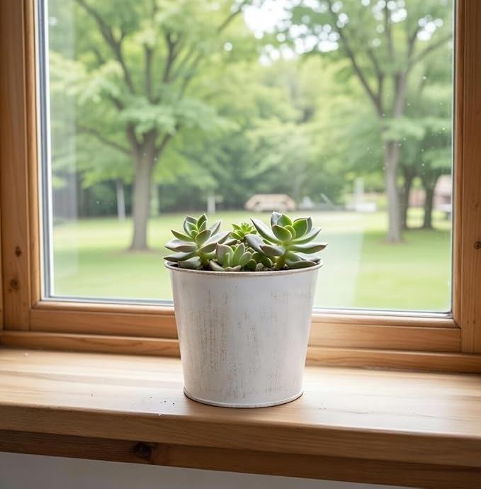 Hosley Set of 3 White Wash Finish Bucket/Pots with PVC Liner, 5" Dia x 4.75" H Ideal Gift for Floral Arrangements Wedding Home Office Party DIY Indoor Outdoor Garden Patio