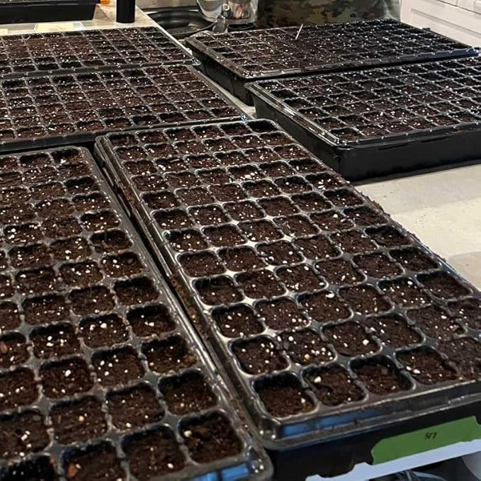 Bootstrap Farmer 72 Cell Seed Starter Tray - Extra Strength Starting Trays for 1020 Planting Seedlings, Propagation, Germination Plug Station (60)