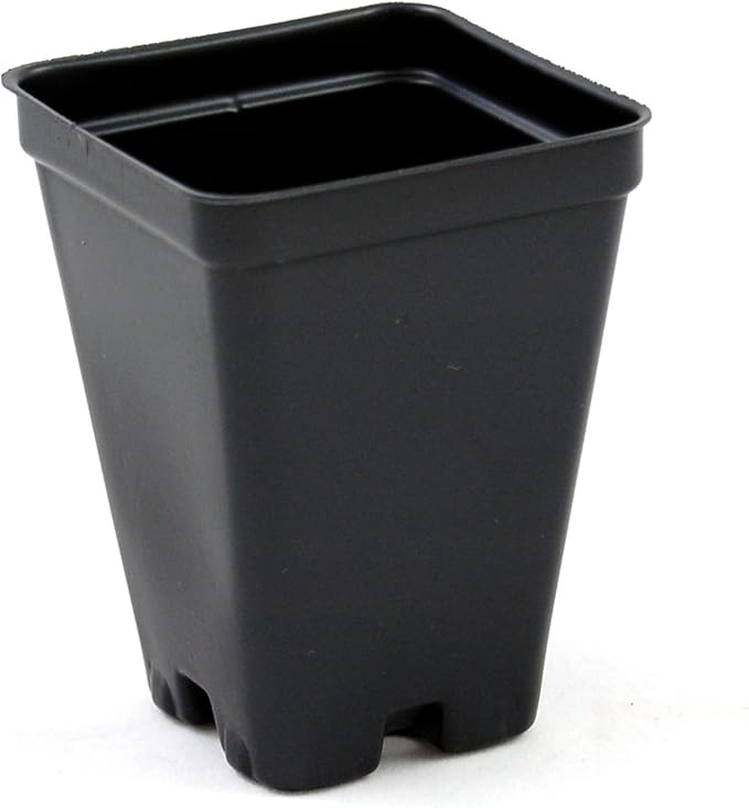 2.5 inch Square Greenhouse Pots - Black - Plastic - Deep - 25 Pack by Growers Solution