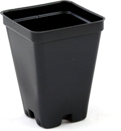2.5 inch Square Greenhouse Pots - Black - Plastic - Deep - 25 Pack by Growers Solution
