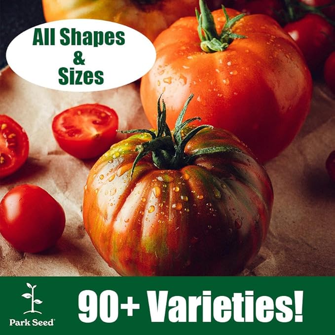 Park Seed Variety of Tomato Seeds, Planting Vegetables, Easy to Grow, Non-GMO, Perfect for Harvesting, Better Bush Hybrid, Pack of 30