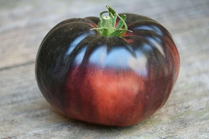 Seeds Black Elephant Tomato - Heirloom Vegetable - GMO Free