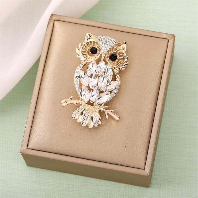 Rhinestone Owl Brooch Pin for Women Cute Big Cartoon Cat Eye Stone Owl Bird Brooch Unique Double Owl Brooch Pin Clothes Bag Hat Dress Jewelry