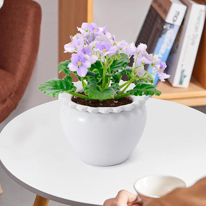 African Violet Flower Pot Ceramic Self Watering Flower Pot 6.5 * 4.6 * 4 inch Simple Plant Self Watering Pot Indoor Flowers High Absorption Herbaceous Flower Pots Modern Decor Pots