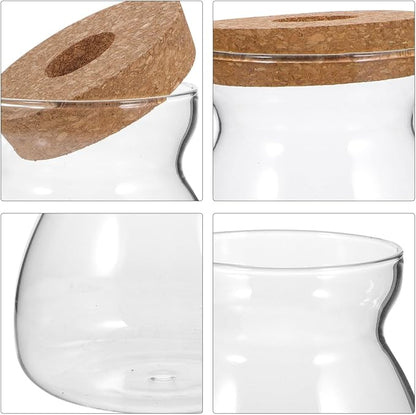 Large Glass Terrarium Jar for Hydroponic Plants - Indoor Miniature Garden Container with Open Hole Lid for Succulents and Decorative Ornaments