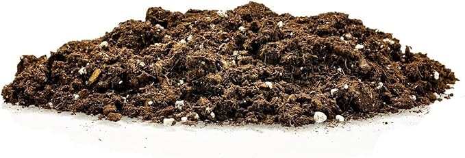 Premium Citrus Tree Potting Soil Mix - 10 Quart - Special Blend for Indoor Oranges, Lemons, Limes and More by Gardenera (2 Bags of 5 Quart)