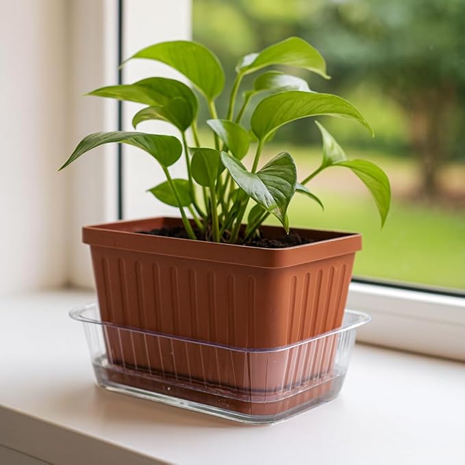 Curtis Wagner Plastics Oval Clear Heavy Gauge Vinyl Basket Liner (5-Pack) - Clear, Oval (Diameter: 6.5 x 4.25 Base, 9.25 x 6.8 x 3.5 Top, 3.5 Depth) Thin Plastic Plant Tray