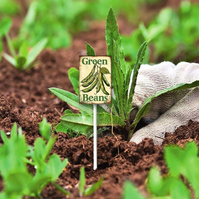 Uptell Vintage Vegetable Signs for Garden with Stake Green-Beans Yard Sign Vegetable Garden Label Stakes Plant Markers for Outdoor Plants Waterproof 8x12inch