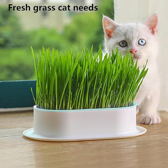 Household Cat Grass Planter, Plastic Catnip Cat Grass Box Soil Cat Plant Planting Box Nursery Cat Plant for Pet(Size:3pcs)