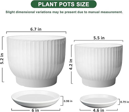 Ceramic Plant Pots,6.7 + 5.5 Inch,Ceramic Flower Pots,Planters with Drainage Hole and Saucer,Planters for Indoor Plants(Pure White)