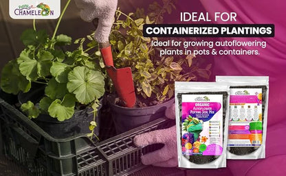 Organic Autoflower Potting Soil Mix – Ready-to-Use Living Soil, No Fertilizers Needed – Balanced Nutrients, Light Texture, Excellent Drainage, Boosts Germination & Root Growth (5 quarts)
