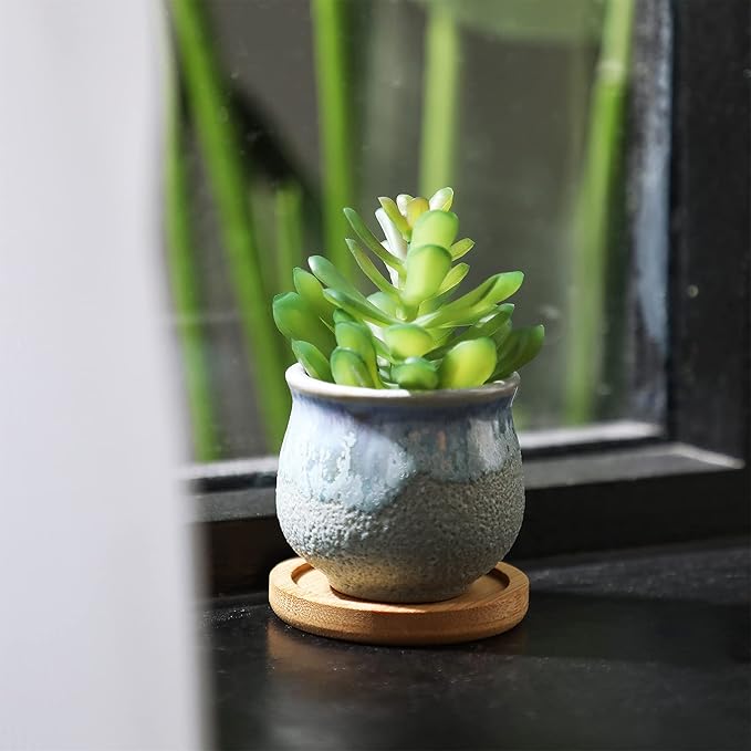 Remerry 18 Pcs Small Succulent Pots Bulk with Drainage 2.5 Inch Assorted Mini Ceramic Succulent Planters Pot with Coaster Bamboo Plant Tray Planting Pots for Home Office Garden