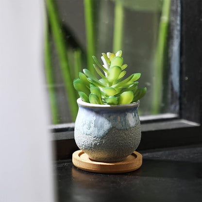 Remerry 18 Pcs Small Succulent Pots Bulk with Drainage 2.5 Inch Assorted Mini Ceramic Succulent Planters Pot with Coaster Bamboo Plant Tray Planting Pots for Home Office Garden