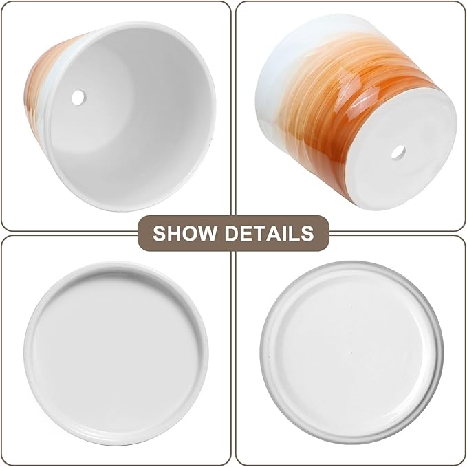 5 Inch Plant Pot,Ceramic Planter with Drainage and Saucer,Ceramic Pots for Plants,Indoor Plant pots,Planters for Indoor Plants(5.5 in Diameter,4 Pack)