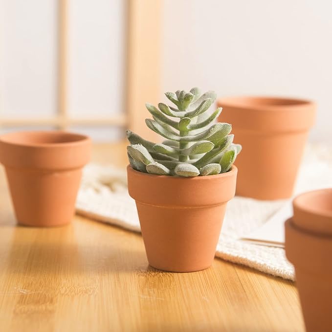Mini Terracotta Clay Flower Pots 2 inch with Drainage Holes for for Tiny Cactus Herb lithop,Small Succulent Planter Nursery Plant Pot for Home Garden Table DIY Hand Craft Gift Decoration-12 Pack