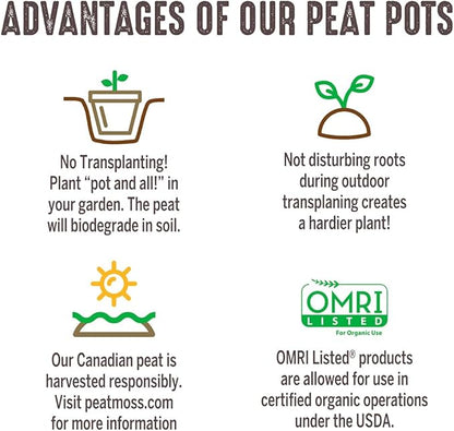 Jiffy Plant Nursery Pots - Organic Seed Starting, Biodegradable, Drainage Hole - 3 in - Peat