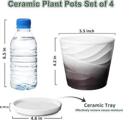 Ceramic Plant Pots,5 Inch,Set of 4,Planters with Drainage Hole and Saucer,Flower pots for Indoor Plants,Modern Design(5.5 in Diameter)