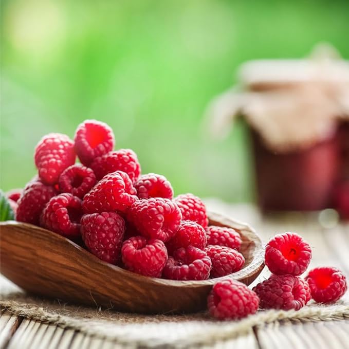 200+ Seed Red Raspberry Fruit Seeds for Planting Outdoor-Sweet Berry Seeds Non GMO Heirloom Rare Fruit Plant in Home Garden