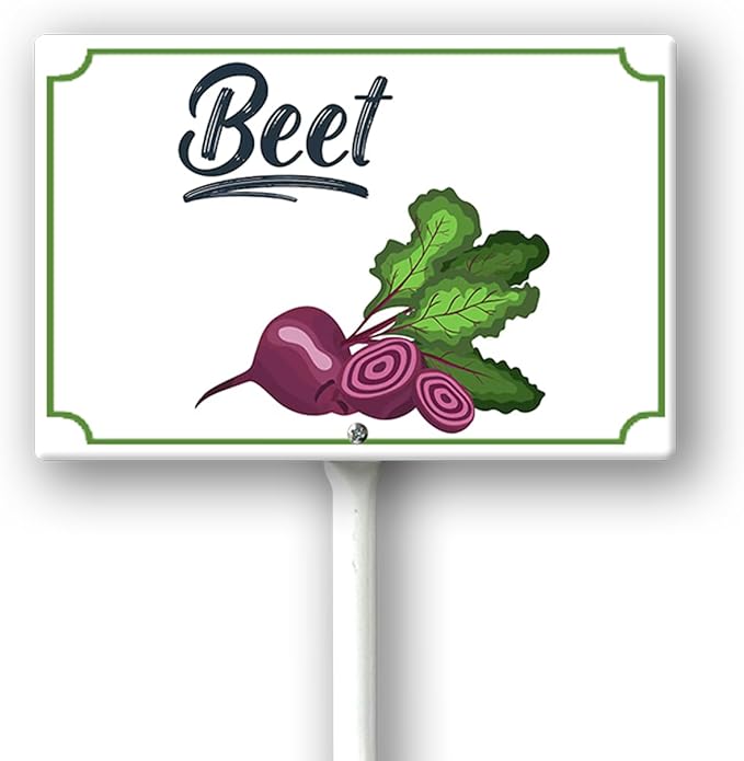 Boylee Vegetable Signs With Stake Ripe Red Beets Garden Signs For Vegetables Herb Garden Signs Garden Name Stakes For Plants 8x12inch Outdoor Indoor Herbs Flowers Potted Plants