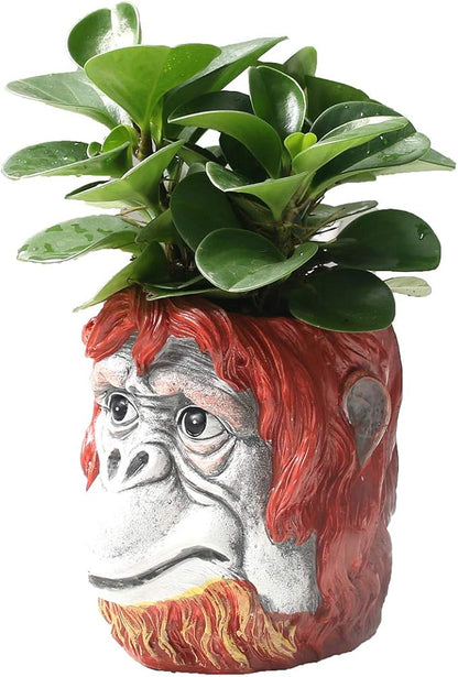 Funny Planter Head Planter with Drainage Hole Resin Plant Pot Pencil Holder Desk Storage(Gorilla)