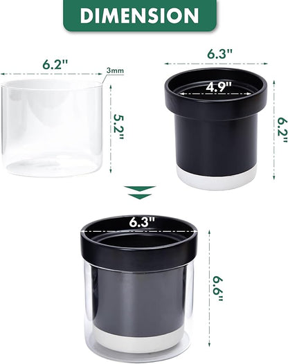 Phoenix Vine 6 Inch Self Watering Planter Pot, Black Terracotta Clay Pot with Glass Reservoir for Indoor Plants, Herbs, Flowers, Set of 2, 52-C-F-2