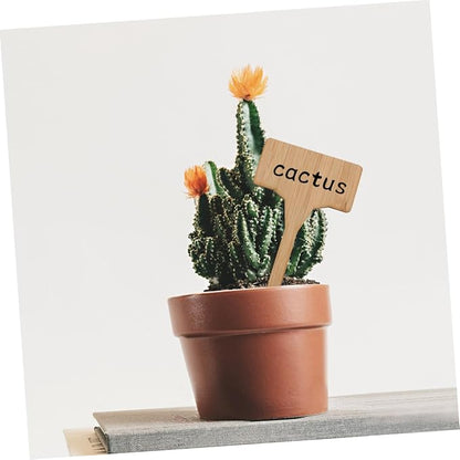 Mipcase 20pcs Thicken Label Signs t Shape Mini Plant Ornaments for Garden and Nursery Color Plaques for Easy Plant Tracking