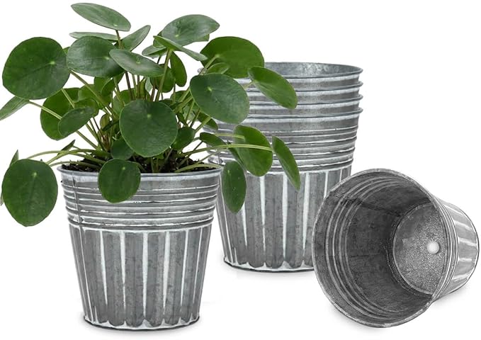 vensovo 5 Inch Silver Metal Rustic Flower Pots - 6Pcs Medium Galvanized Planters with Drainage Hole and Rubber Plug, Rustproof Metal Bucket Plant Pots Farmhouse Vintage Style for Decor