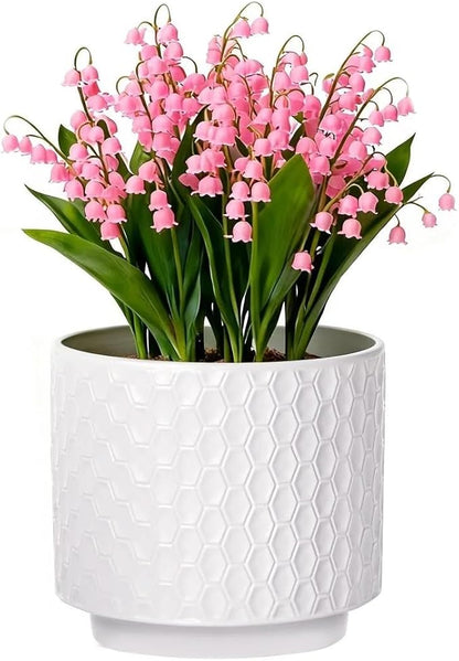 6 Inch Ceramic Pots for Indoor Plants with Drainage Hole & Floral Design, Planter for Home Decor on Windowsill, Tabletop, Office (White)