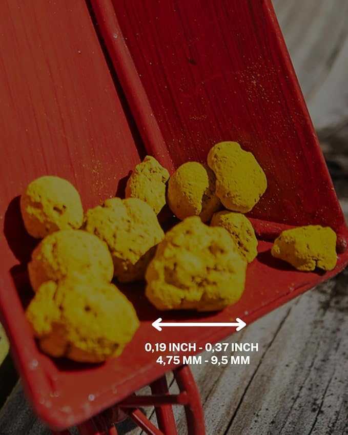 Nature, Leca Clay Pebbles for Plants - Sustainable Expanded Clay Balls for Healthy Roots, Handmade in Colombia, Ideal for Hydroponics, Indoor Gardens, and Moisture Retention, 32 Oz (Orange)