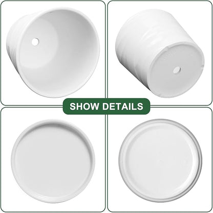 6 Inch Plant Pot,Ceramic Planter with Drainage and Saucer,Ceramic Pots for Plants,Planters for Indoor Plants,Ceramic Flower Pots(6.7 in Diameter)
