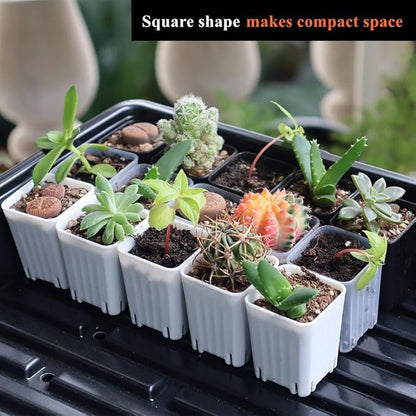 BangQiao 300 Pack 1.55 Inch Tiny White Plastic Square Nursery and Seedling Pot, Mini Transplant Seed Starter Planter with Drain Hole for Germination, Herb, Succulent