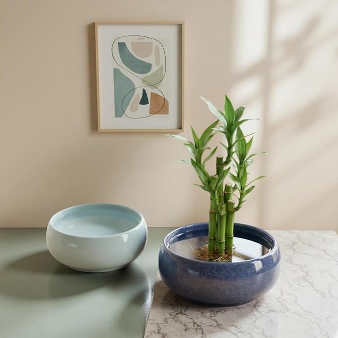 2 Pack Lotus Bowl Planter, Large 7.5'' & Small 6.5'' Shallow Ceramic Water Planting Pot, Drainage-Free Hydroponic Bowl for Lotus Seeds, Ikebana, Succulents & Water Lilies (Sky&Star Series)