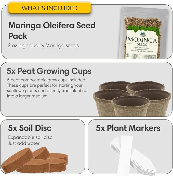 Moringa Oleifera Growing Kit, Moringa Seeds Complete Starter Set with 2 oz Seeds, 5 Peat Pots, Soil Discs, Plant Markers, Fast Growing Drought Resistant