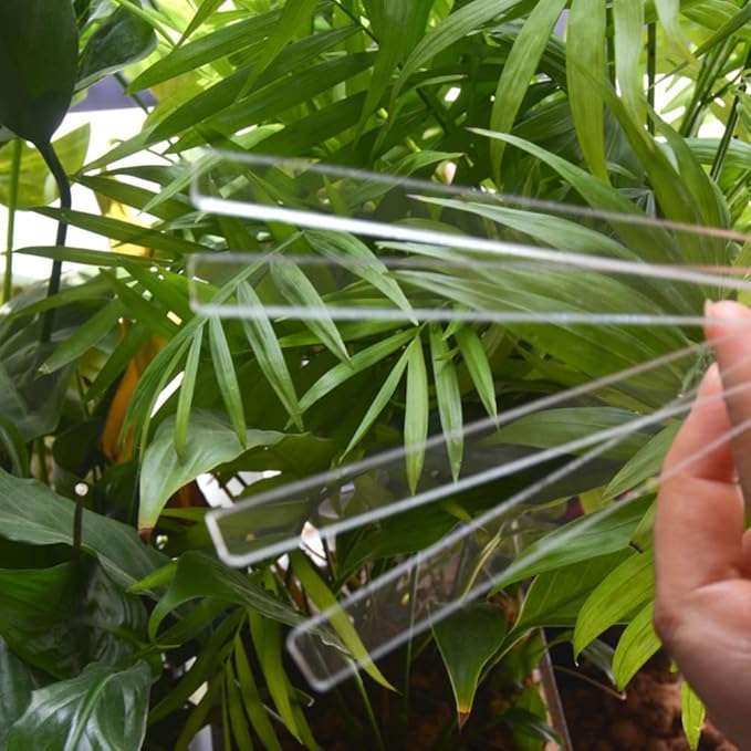 Garneck 4sets Acrylic Plant Label Tags Garden Plant Markers DIY Blank Name Tags Markers Waterproof Garden Label for Identification 24pcs*4