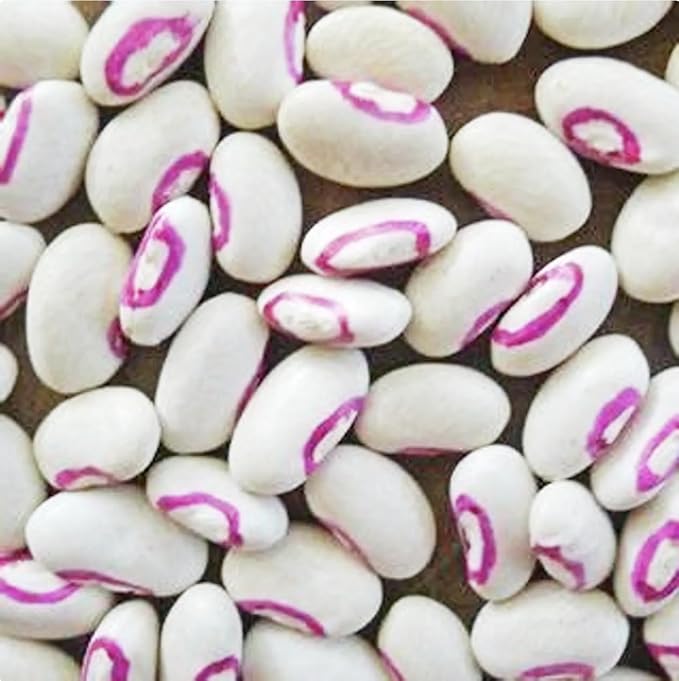 Black Eyed Peas Heirloom Treated Seeds - Non GMO - Neonicotinoid-Free