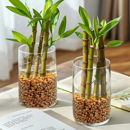 HappyFiller 2-5mm Decorative Succulent Cactus Gravel,Terrarium Small Rocks,Indoor Plants Orchid Soil Cover Stones,Candle Holder Vase Filler Decor Pebbles,0.88 LB Brown