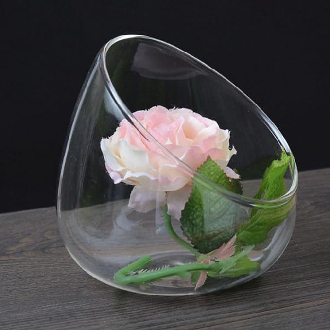 Cabilock 2pcs Transparent Glass Micro Landscape Bottles Multi-Functional Household Storage Holders for Succulents Plants and Home Organization