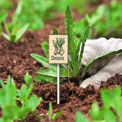 Uptell Vintage Vegetable Signs for Garden with Stake Onions Yard Sign Vegetable Garden Label Stakes Plant Markers for Outdoor Plants Waterproof 8x12inch