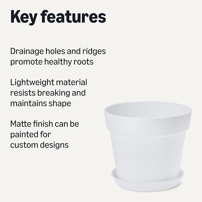 Amazon Basics Plant Pot with Saucer, 8 inch, White, 1-Pack