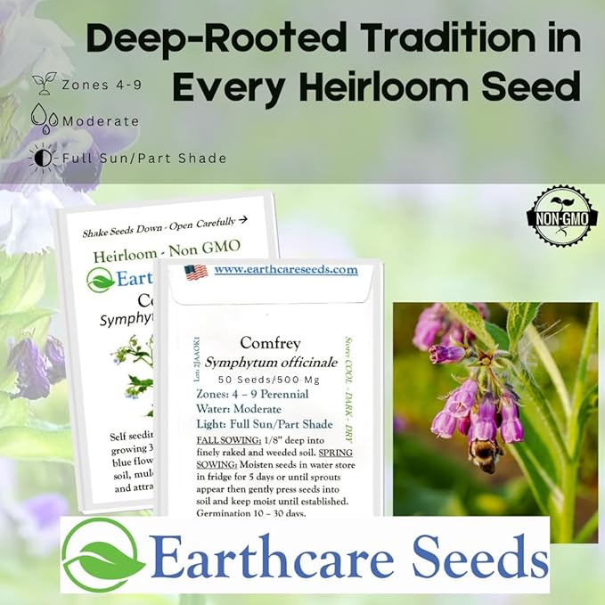 True Comfrey 50 Seeds (Symphytum officinale) Non GMO, Heirloom