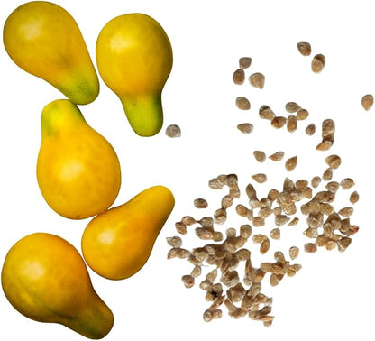 Cherry Tomato, Yellow Pear (Solanum lycopersicum) 150 Organic Seeds (0.5 Grams) by Smoke Camp Crafts - Heirloom Yellow Pear