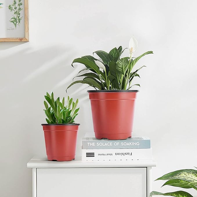 VIVOSUN 100 Pcs 4 Inch Plastic Plant Nursery Pots, Seed Starting Pot, Flower Plant Container for Seedlings, Cuttings, Transplanting