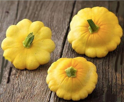 Sweet Dumpling Squash Seeds - Approximately 30 Seeds