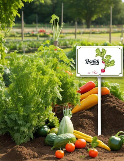 Boylee Vegetable Signs With Stake Radish Garden Signs For Vegetables Herb Garden Signs Garden Name Stakes For Plants 8x12inch Outdoor Indoor Herbs Flowers Potted Plants
