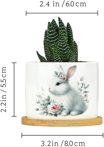 DreamAutumn Cute Easter Bunny Rabbit Ceramic Flower Pots,Gardening Plant Pot with Drainage Holes and Saucers Round Ceramic Pots for Indoor Plants Succulent Herbs Cactus Pots for Dad Papa Grandpa