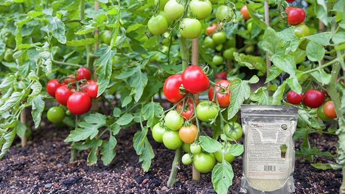 Super Absorbent Polymers Moisture and Fertilizers Keeper for Plants (1 Lb.)