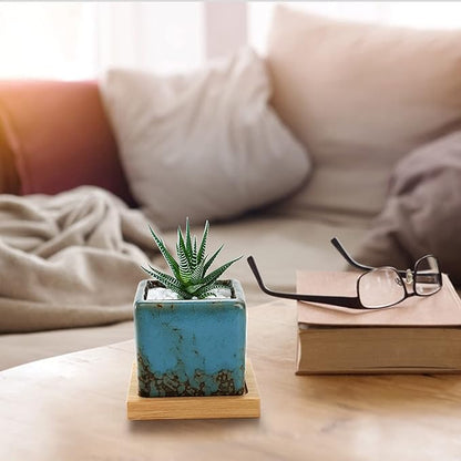 TOPZEA Set of 10 Succulent Planter Pots, 2 Inch Square Ceramic Glazed Cactus Plant Pot Tiny Flower Container with Drainage Hole & Bamboo Tray for Desk, Windowsill, Home Decor, Coffee Bar