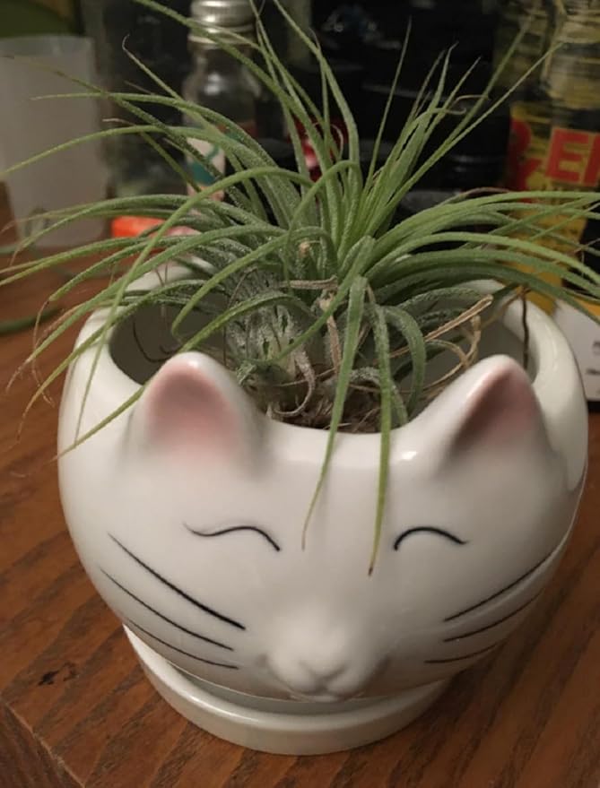 Ceramic Succulent Plant Pot Cactus Plant Pot Flower Pot Container Planter with Drainage Hole Home Office Desk Garden Gift Idea Animal Shaped Flower Pot Cute Vase Pot (Cat)